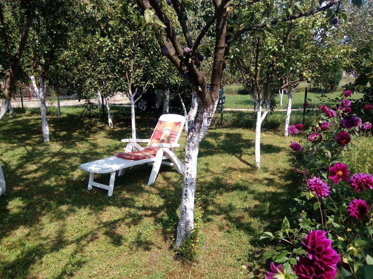 Sunny Paradise Bihać Kültér fotó